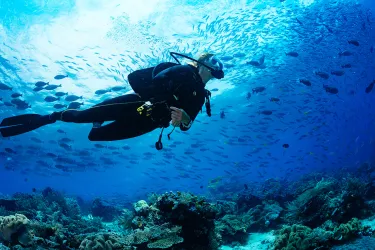 5 Watches you can really dive with