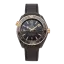 Omega Seamaster Planet Ocean 600M