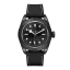 Tudor Black Bay