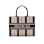 Dior Book Tote Medium