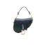 Dior Saddle Mini
