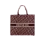 Dior Book Tote