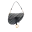 Dior Saddle