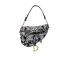 Dior Saddle