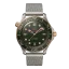 Omega Seamaster Diver 300M