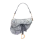 Dior Saddle