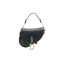 Dior Saddle Mini