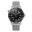 Omega Seamaster Diver 300M