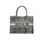 Dior Book Tote Medium