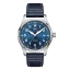 IWC Pilot's Watch Mark XX