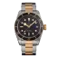 Tudor Black Bay
