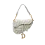 Dior Saddle