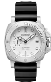 Submersible