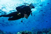 5 Watches you can really dive with