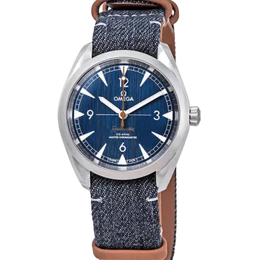 Omega Railmaster Chronometer Watchdreamer