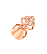 Akillis Python