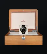 Omega Seamaster Diver 300M