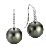 Yana Nesper Appassionata