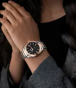 Omega Seamaster Aqua Terra 150M