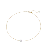 Yana Nesper New Basics