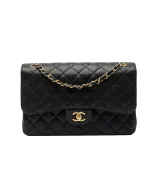 Chanel Classic Double Flap