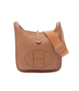 Hermes Evelyne