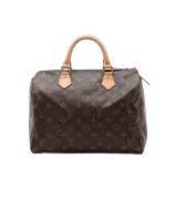 Louis Vuitton Speedy