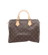 Louis Vuitton Speedy