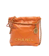 Chanel Chanel 22 Mini