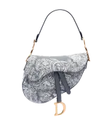 Dior Saddle