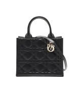 Dior Book Tote Small