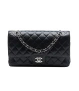 Chanel Classic Double Flap Medium
