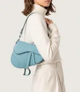 Dior Saddle
