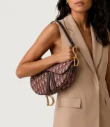 Dior Saddle