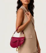 Dior Saddle Mini