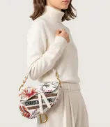 Dior Saddle