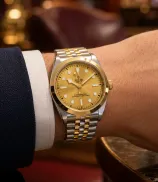 Tudor Black Bay