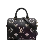 Louis Vuitton Speedy 25