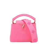 Louis Vuitton Capucines Mini