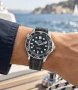 Omega Seamaster Diver 300M