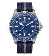 Tudor Pelagos