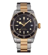 Tudor Black Bay