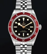 Tudor Black Bay