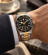 Tudor Black Bay