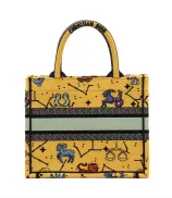 Dior Book Tote Small