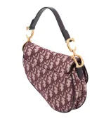Dior Saddle Mini