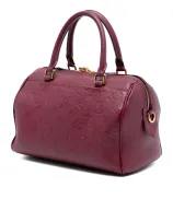 Louis Vuitton Speedy 25