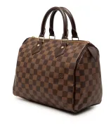 Louis Vuitton Speedy 25