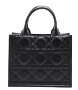 Dior Book Tote Small