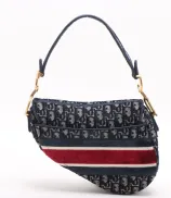 Dior Saddle